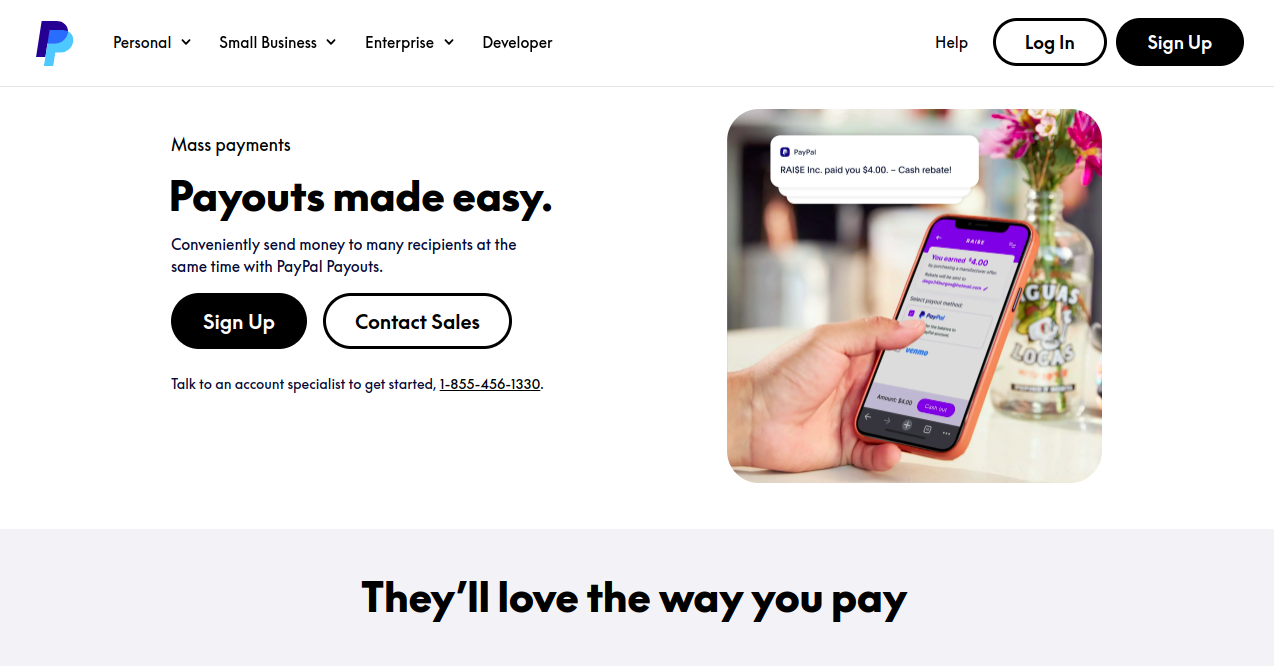 PayPal Mass Pay Home Page
